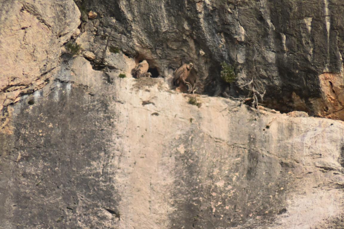 Klicke auf die Grafik für eine vergrößerte Ansicht

Name: DSC_0662.jpg
Ansichten: 238
Größe: 245,5 KB
ID: 3353135