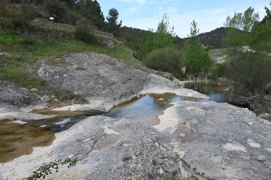 Klicke auf die Grafik für eine vergrößerte Ansicht

Name: DSC_0919.jpg
Ansichten: 236
Größe: 284,2 KB
ID: 3353136