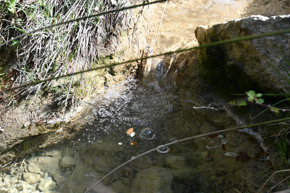 Klicke auf die Grafik für eine vergrößerte Ansicht

Name: DSC_0928.jpg
Ansichten: 237
Größe: 322,9 KB
ID: 3353137