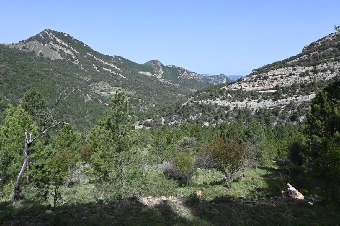 Klicke auf die Grafik für eine vergrößerte Ansicht

Name: DSC_0932.jpg
Ansichten: 239
Größe: 268,4 KB
ID: 3353138