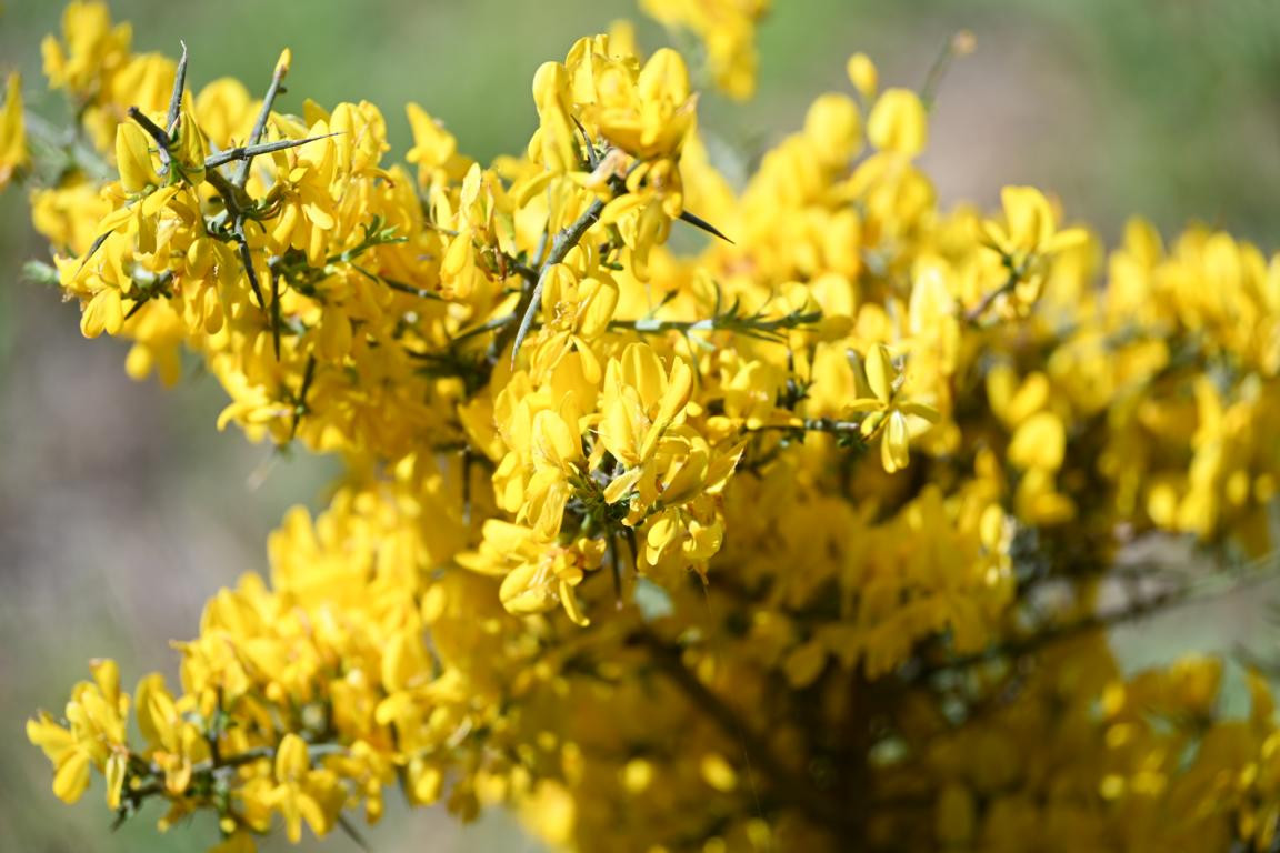 Klicke auf die Grafik für eine vergrößerte Ansicht

Name: DSC_0942.jpg
Ansichten: 233
Größe: 193,7 KB
ID: 3353141