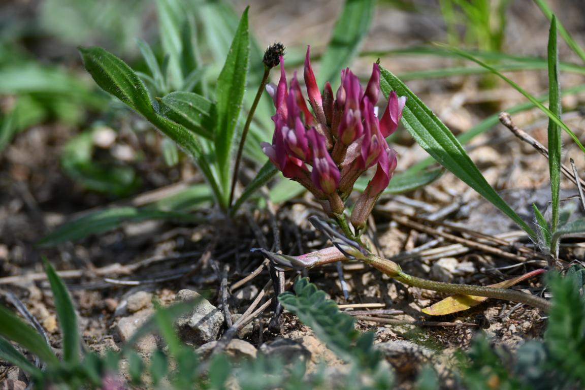 Klicke auf die Grafik für eine vergrößerte Ansicht

Name: DSC_0952.jpg
Ansichten: 236
Größe: 205,8 KB
ID: 3353145