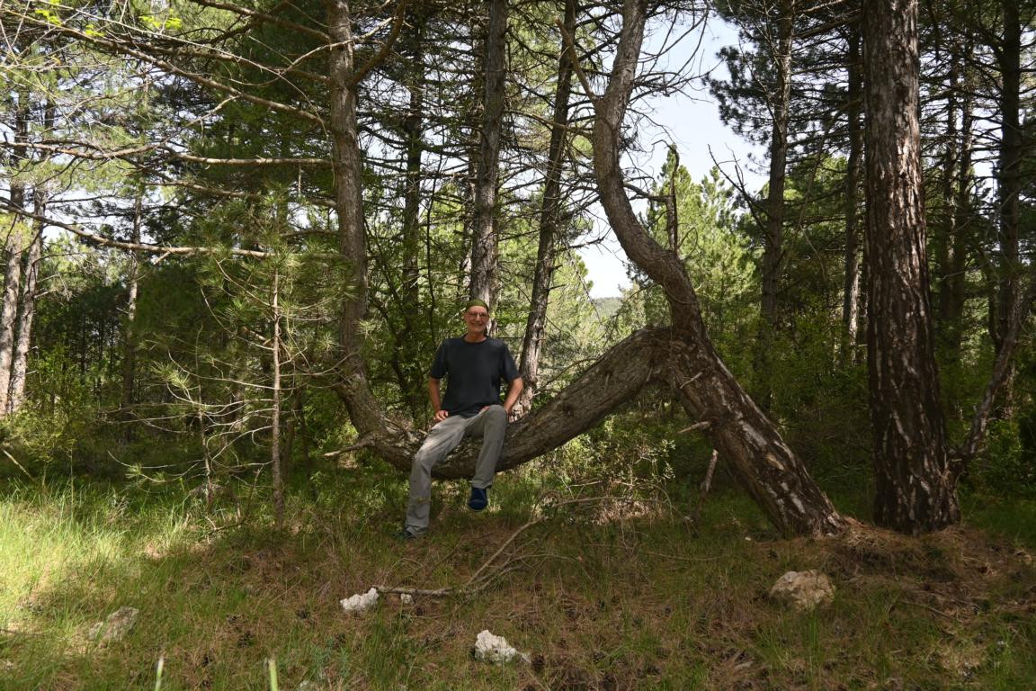 Klicke auf die Grafik für eine vergrößerte Ansicht

Name: DSC_0966.jpg
Ansichten: 237
Größe: 375,9 KB
ID: 3353146