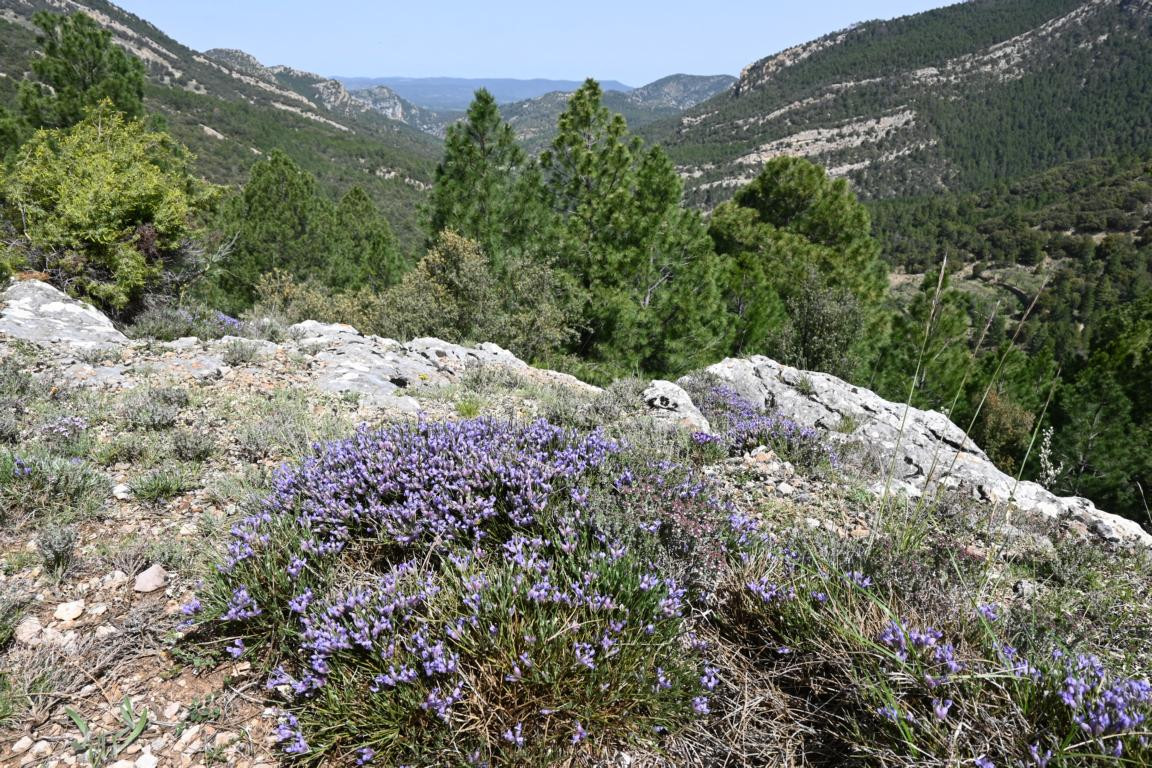 Klicke auf die Grafik für eine vergrößerte Ansicht

Name: DSC_0969.jpg
Ansichten: 236
Größe: 427,0 KB
ID: 3353147