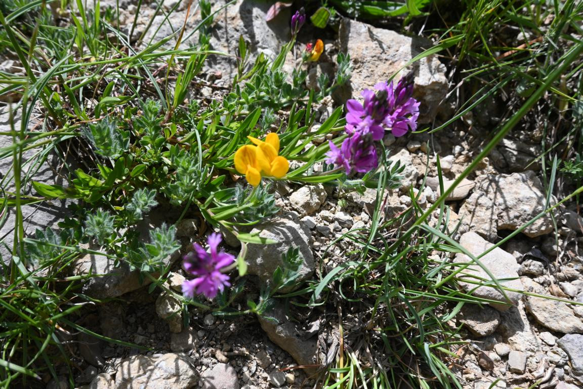 Klicke auf die Grafik für eine vergrößerte Ansicht

Name: DSC_0980.jpg
Ansichten: 233
Größe: 388,6 KB
ID: 3353148