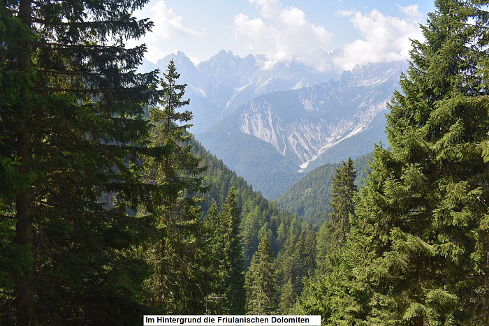 Klicke auf die Grafik für eine vergrößerte Ansicht  Name: DSC_0979.jpg Ansichten: 0 Größe: 1.011,3 KB ID: 3353160