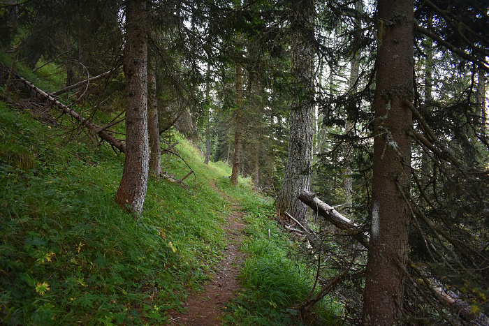 Klicke auf die Grafik für eine vergrößerte Ansicht  Name: DSC_0977.jpg Ansichten: 0 Größe: 1,06 MB ID: 3353161