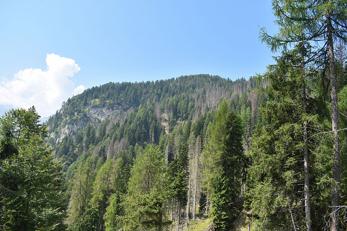 Klicke auf die Grafik für eine vergrößerte Ansicht  Name: DSC_0981.jpg Ansichten: 0 Größe: 1,06 MB ID: 3353162