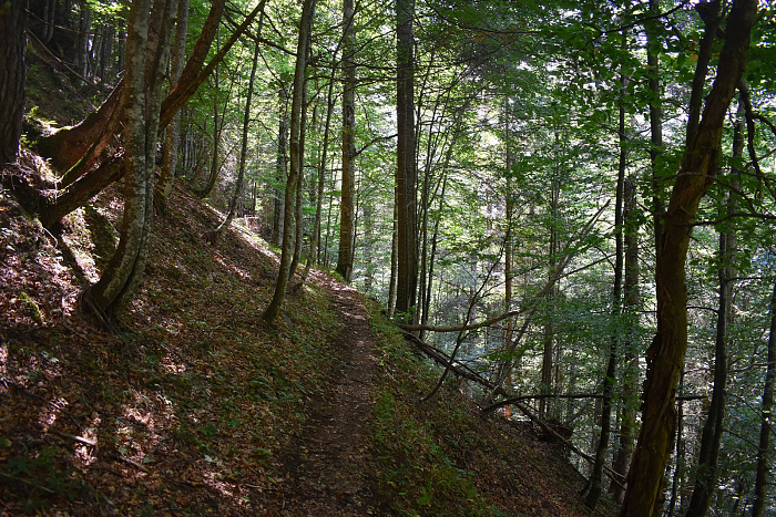 Klicke auf die Grafik für eine vergrößerte Ansicht  Name: DSC_0983.jpg Ansichten: 0 Größe: 1,26 MB ID: 3353163