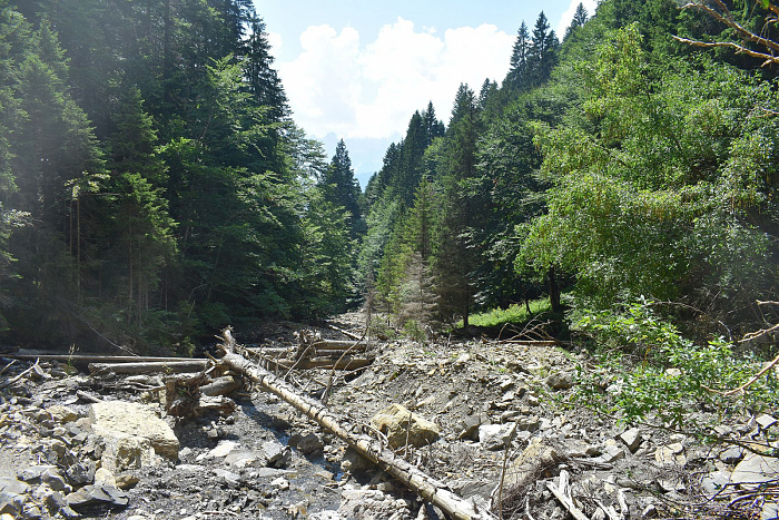 Klicke auf die Grafik für eine vergrößerte Ansicht  Name: DSC_0982.jpg Ansichten: 0 Größe: 1,25 MB ID: 3353164