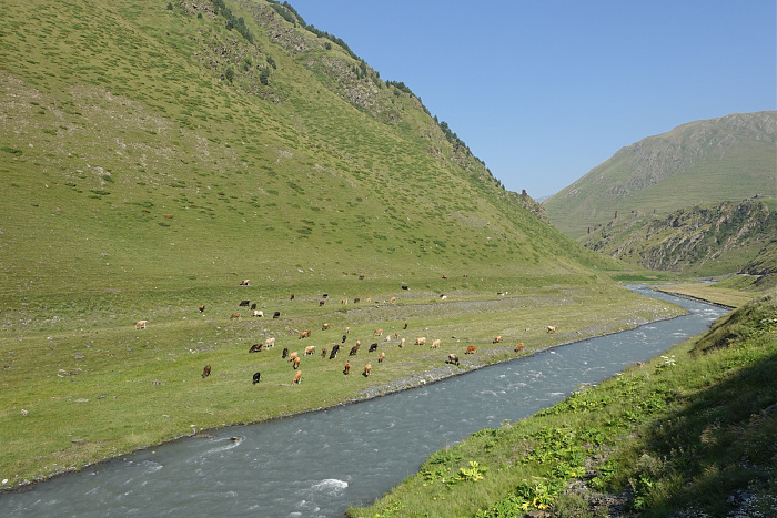 Klicke auf die Grafik für eine vergrößerte Ansicht  Name: Kaukasus0872.jpg Ansichten: 0 Größe: 877,0 KB ID: 3353218