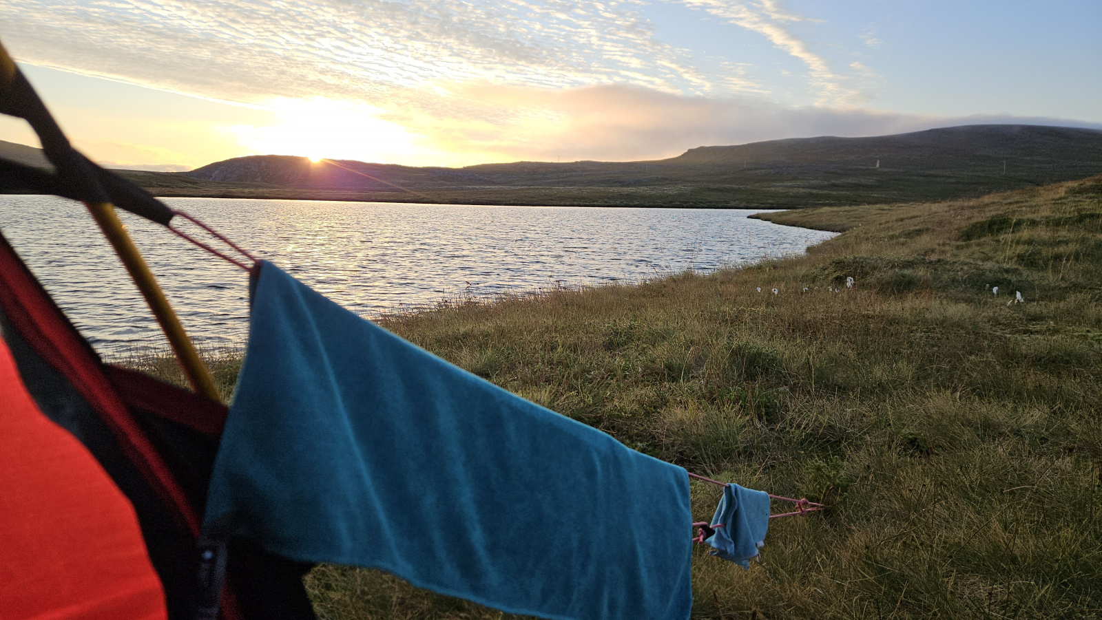 Klicke auf die Grafik für eine vergrößerte Ansicht

Name: 20250902_051813 Wäscheleine.jpg
Ansichten: 117
Größe: 706,5 KB
ID: 3353237