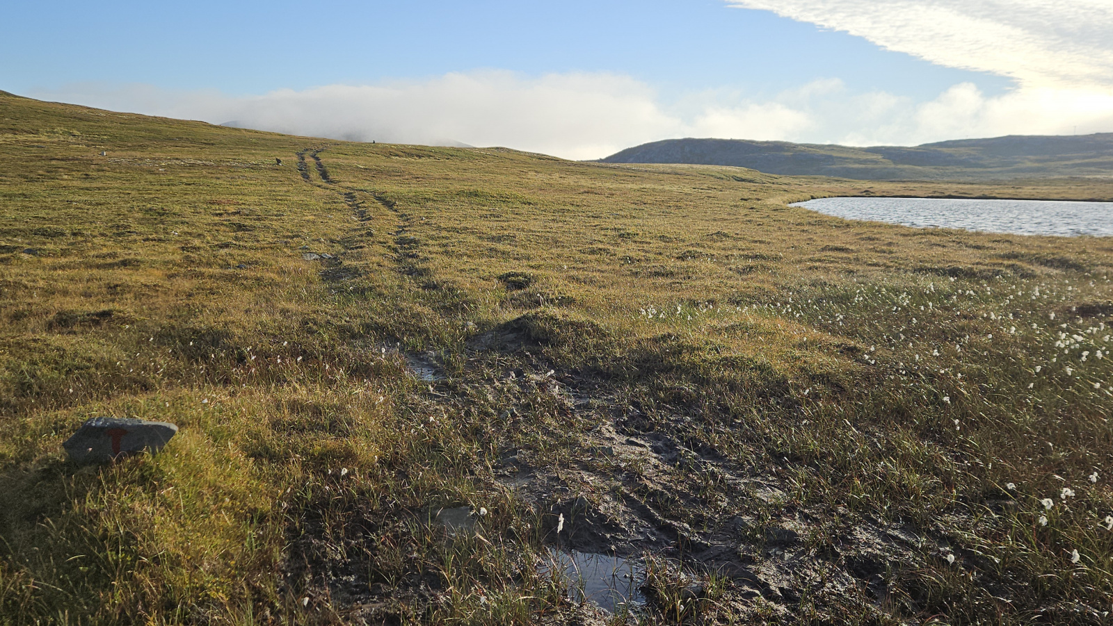 Klicke auf die Grafik für eine vergrößerte Ansicht

Name: 20250902_073844 Quadspur.jpg
Ansichten: 116
Größe: 978,7 KB
ID: 3353240