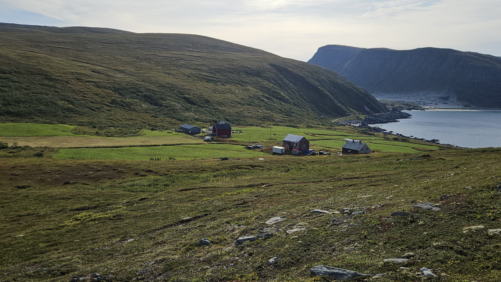 Klicke auf die Grafik für eine vergrößerte Ansicht

Name: 20250902_092957 Bauernhof.jpg
Ansichten: 115
Größe: 828,3 KB
ID: 3353249