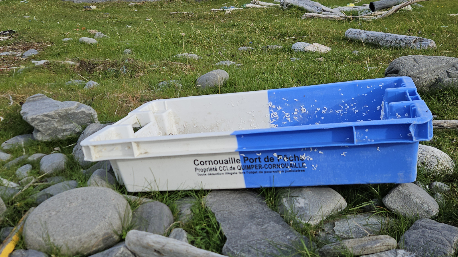 Klicke auf die Grafik für eine vergrößerte Ansicht

Name: 20250902_103623 Fischkiste.jpg
Ansichten: 114
Größe: 846,0 KB
ID: 3353255