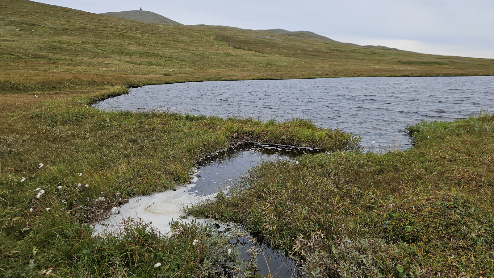 Klicke auf die Grafik für eine vergrößerte Ansicht

Name: 20250902_115632 Abfluss.jpg
Ansichten: 116
Größe: 1,01 MB
ID: 3353259