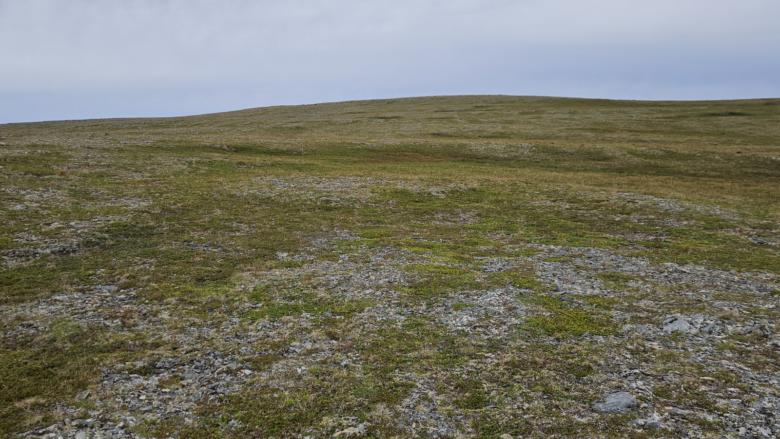 Klicke auf die Grafik für eine vergrößerte Ansicht

Name: 20250902_124817 kein Anhaltspunkt.jpg
Ansichten: 115
Größe: 959,3 KB
ID: 3353260