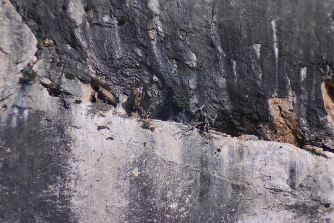 Klicke auf die Grafik für eine vergrößerte Ansicht

Name: DSC_1029.jpg
Ansichten: 215
Größe: 254,7 KB
ID: 3353367