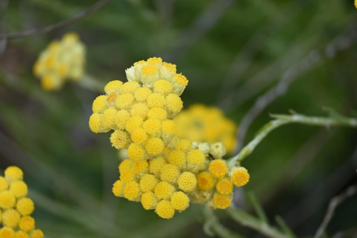 Klicke auf die Grafik für eine vergrößerte Ansicht

Name: DSC_1196.jpg
Ansichten: 202
Größe: 98,0 KB
ID: 3353370