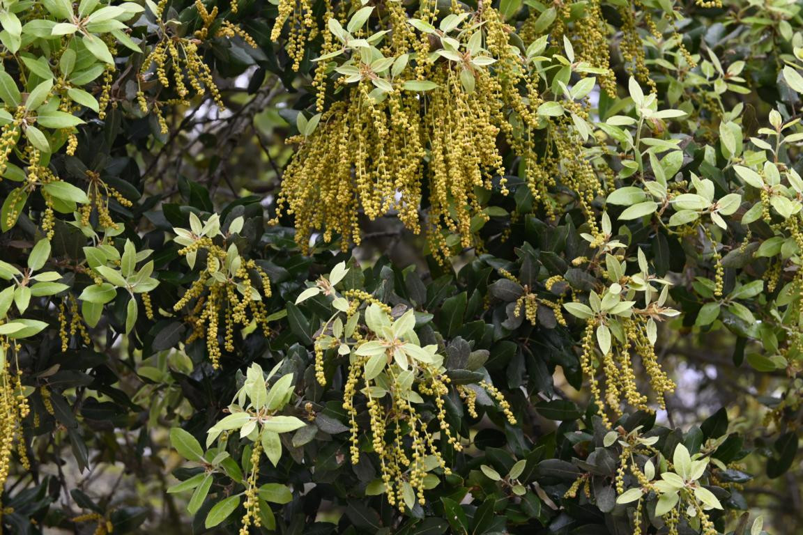 Klicke auf die Grafik für eine vergrößerte Ansicht

Name: DSC_1216.jpg
Ansichten: 203
Größe: 348,6 KB
ID: 3353372