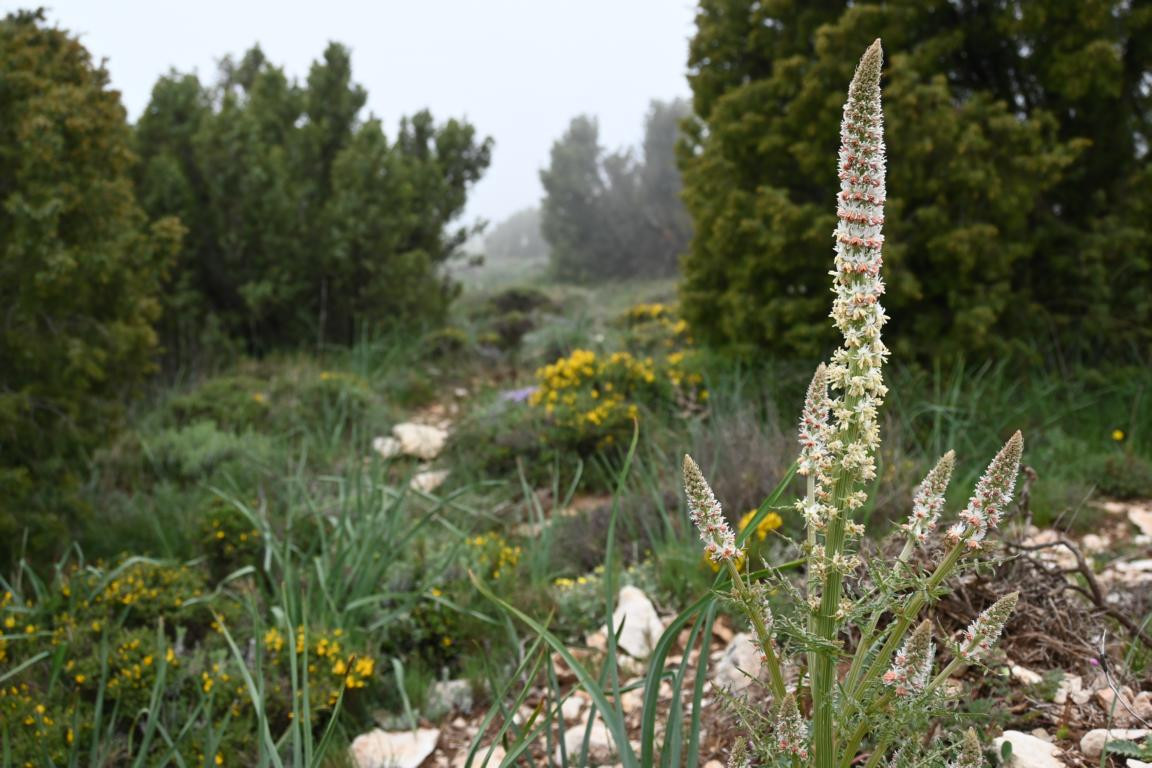 Klicke auf die Grafik für eine vergrößerte Ansicht

Name: DSC_1244.jpg
Ansichten: 202
Größe: 213,0 KB
ID: 3353373