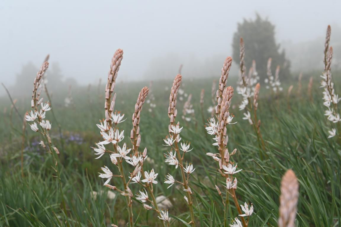 Klicke auf die Grafik für eine vergrößerte Ansicht

Name: DSC_1246.jpg
Ansichten: 200
Größe: 153,4 KB
ID: 3353374