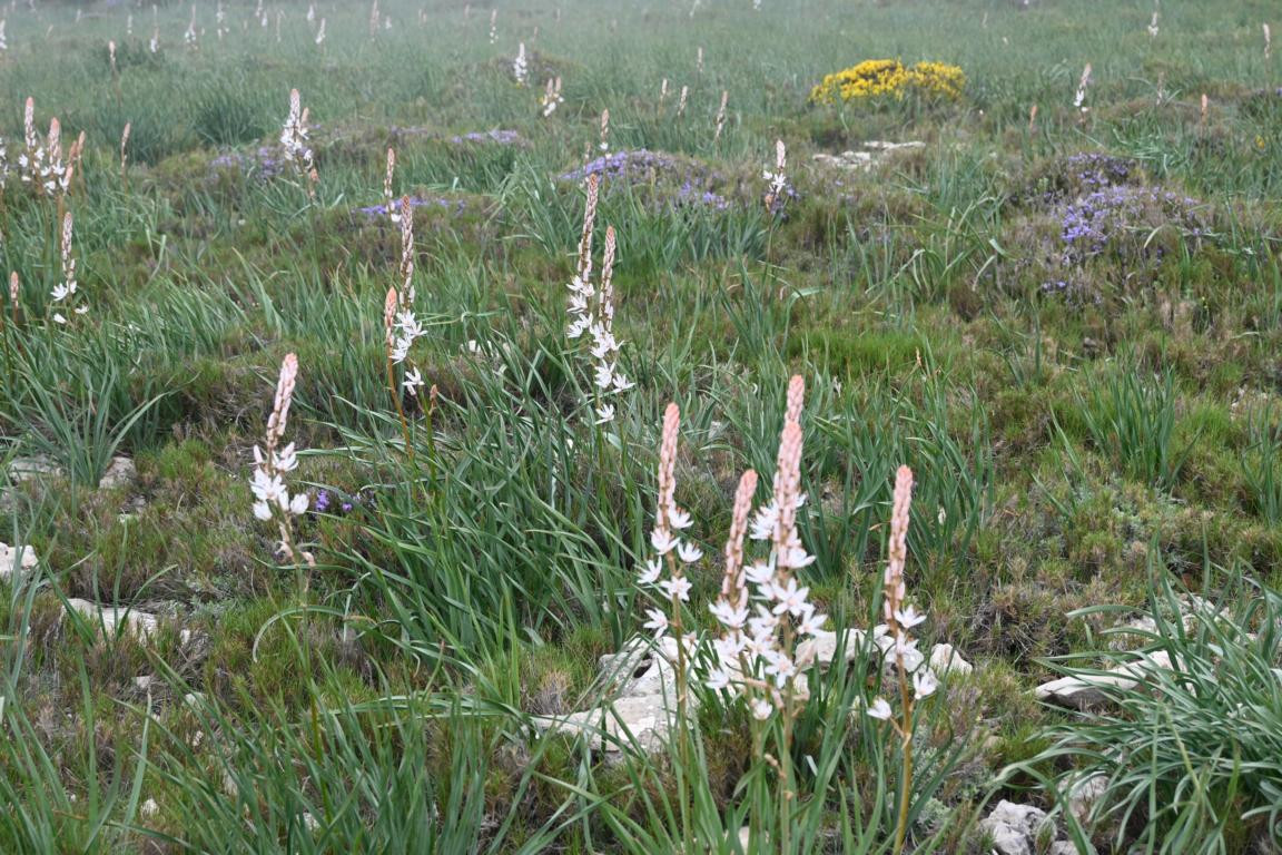 Klicke auf die Grafik für eine vergrößerte Ansicht

Name: DSC_1252.jpg
Ansichten: 202
Größe: 344,1 KB
ID: 3353375