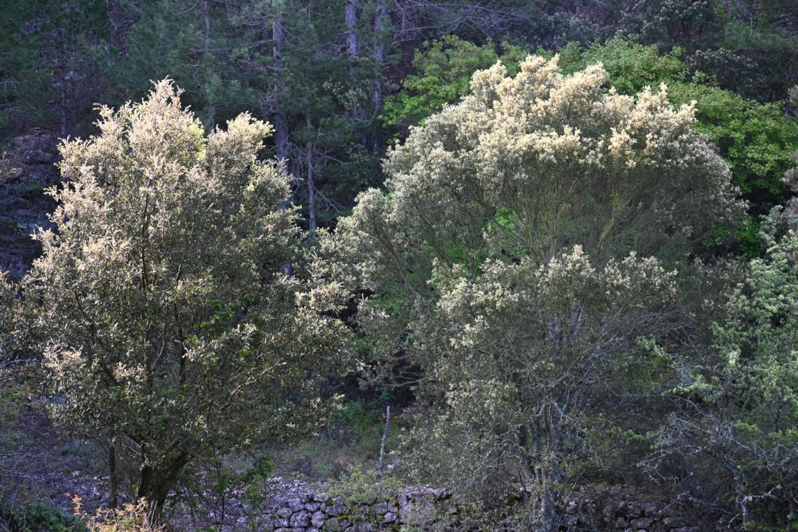 Klicke auf die Grafik für eine vergrößerte Ansicht

Name: DSC_1282.jpg
Ansichten: 203
Größe: 379,2 KB
ID: 3353376