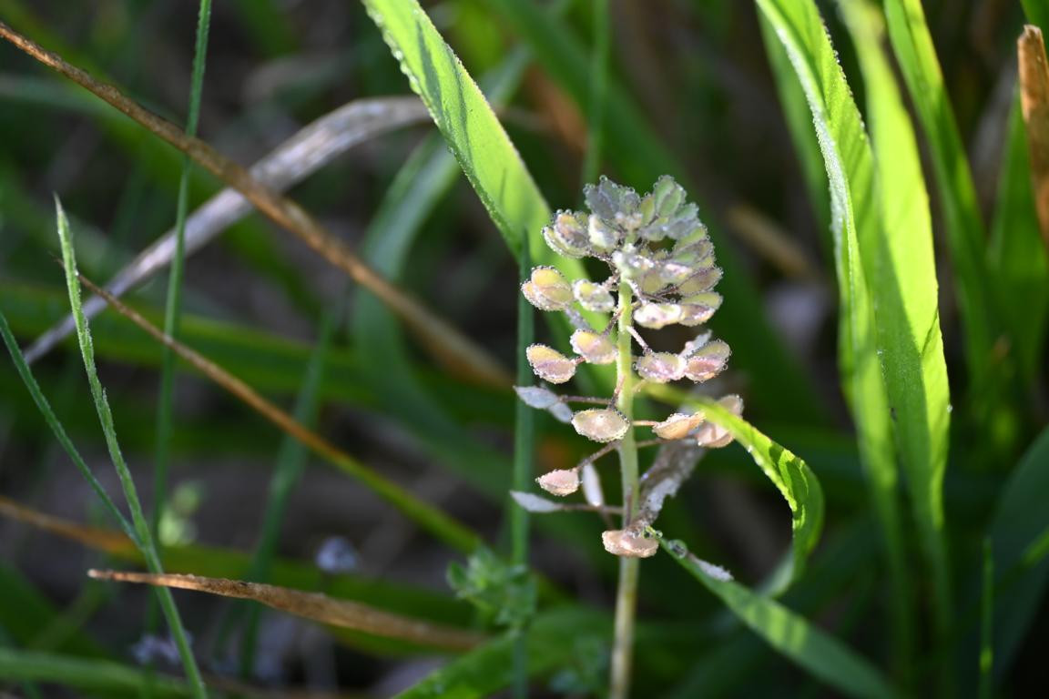 Klicke auf die Grafik für eine vergrößerte Ansicht

Name: DSC_1289.jpg
Ansichten: 200
Größe: 140,8 KB
ID: 3353377