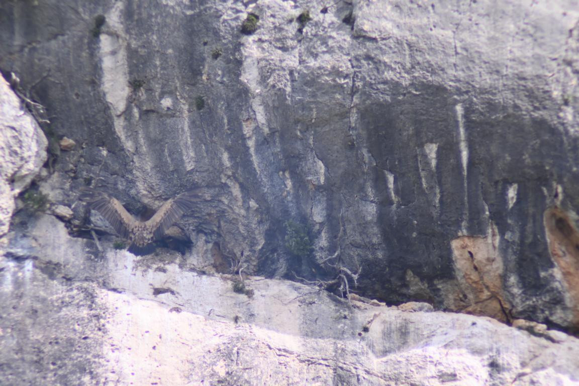 Klicke auf die Grafik für eine vergrößerte Ansicht

Name: DSC_1334.jpg
Ansichten: 201
Größe: 223,8 KB
ID: 3353379