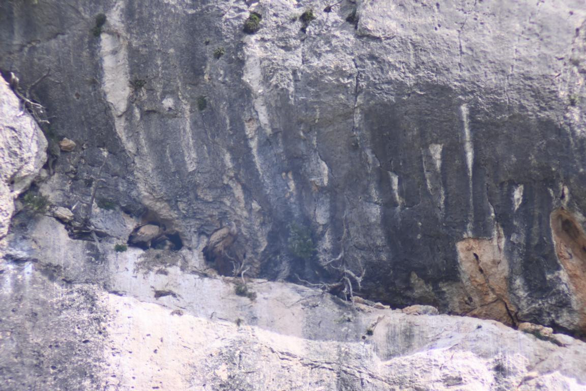 Klicke auf die Grafik für eine vergrößerte Ansicht

Name: DSC_1343.jpg
Ansichten: 203
Größe: 240,8 KB
ID: 3353380