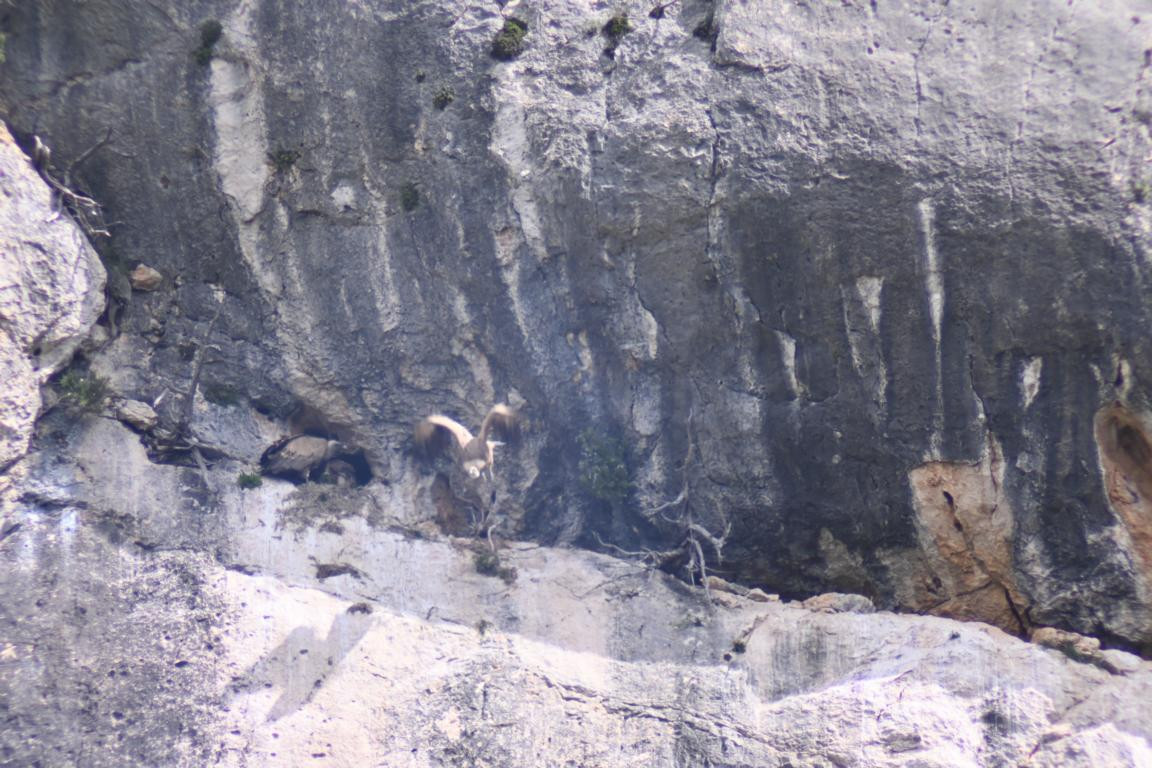 Klicke auf die Grafik für eine vergrößerte Ansicht

Name: DSC_1346.jpg
Ansichten: 203
Größe: 251,3 KB
ID: 3353381