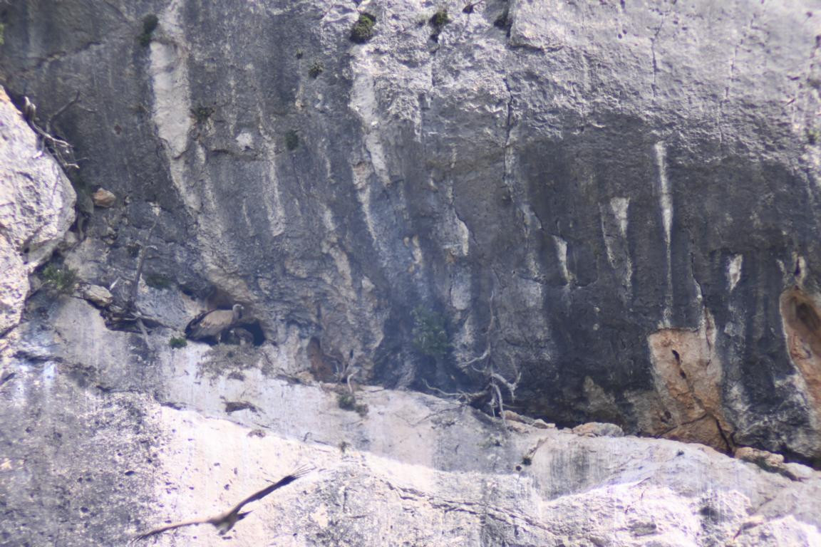 Klicke auf die Grafik für eine vergrößerte Ansicht

Name: DSC_1348.jpg
Ansichten: 204
Größe: 251,3 KB
ID: 3353382