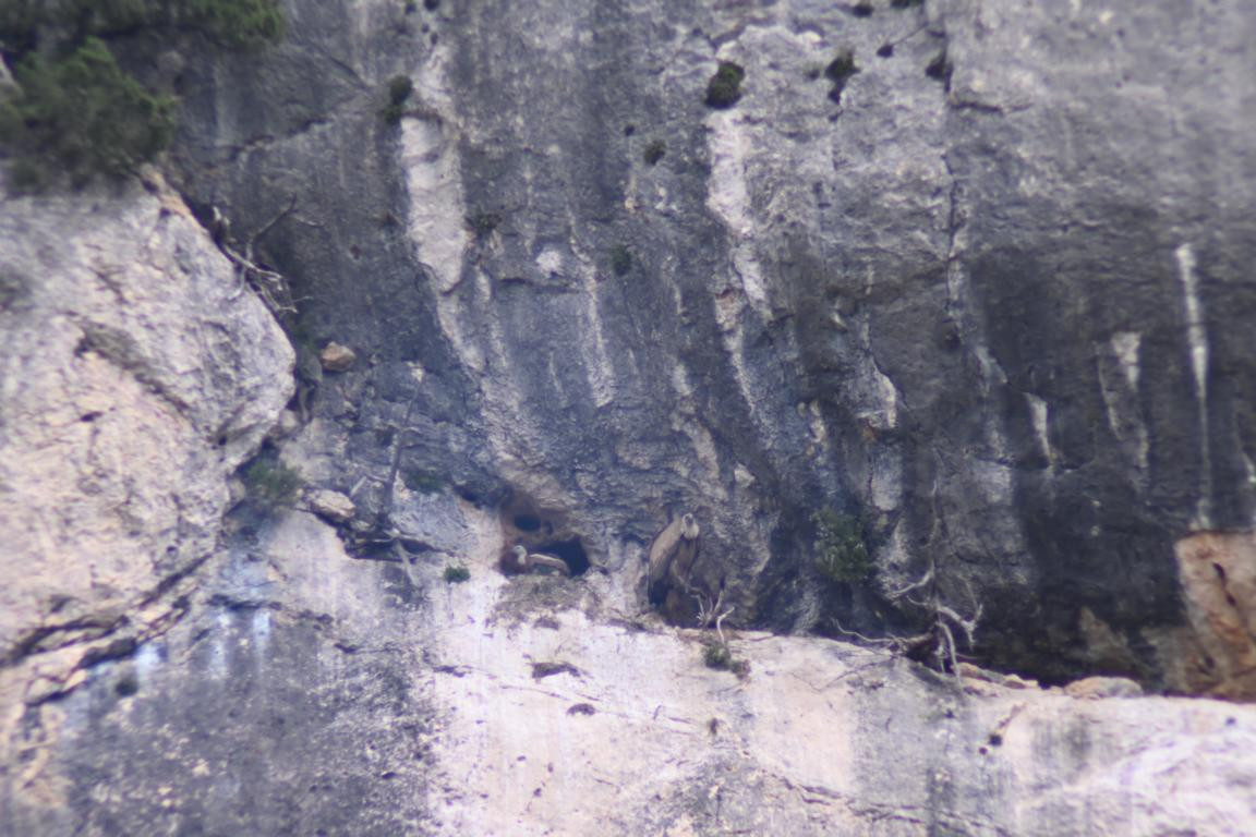 Klicke auf die Grafik für eine vergrößerte Ansicht

Name: DSC_1357.jpg
Ansichten: 200
Größe: 206,4 KB
ID: 3353383