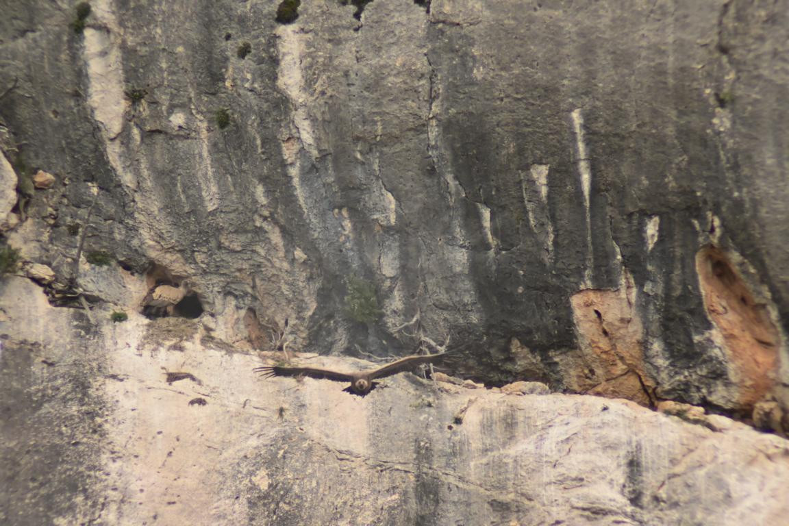 Klicke auf die Grafik für eine vergrößerte Ansicht

Name: DSC_1434.jpg
Ansichten: 201
Größe: 237,2 KB
ID: 3353384