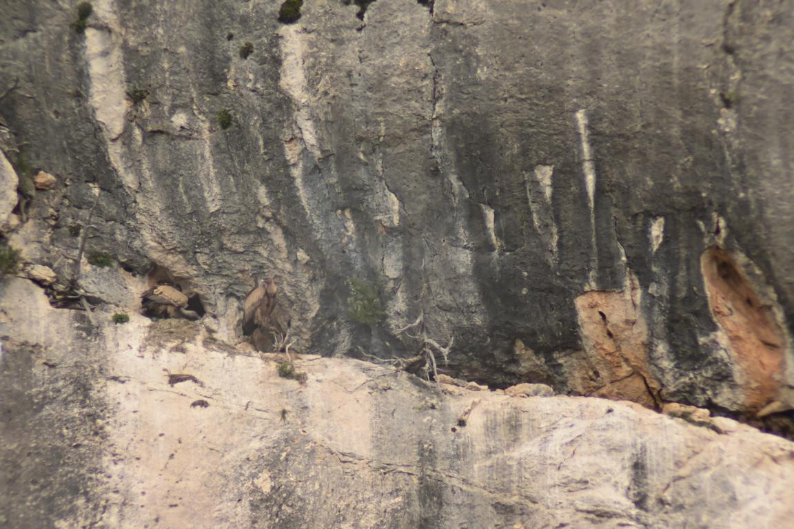 Klicke auf die Grafik für eine vergrößerte Ansicht

Name: DSC_1430.jpg
Ansichten: 200
Größe: 236,7 KB
ID: 3353385