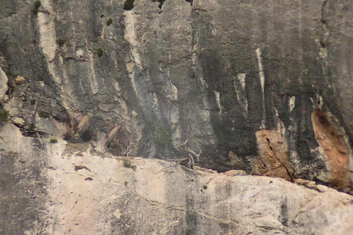 Klicke auf die Grafik für eine vergrößerte Ansicht

Name: DSC_1424.jpg
Ansichten: 203
Größe: 230,4 KB
ID: 3353387