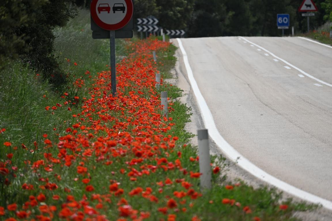 Klicke auf die Grafik für eine vergrößerte Ansicht

Name: DSC_1561.jpg
Ansichten: 200
Größe: 206,3 KB
ID: 3353388