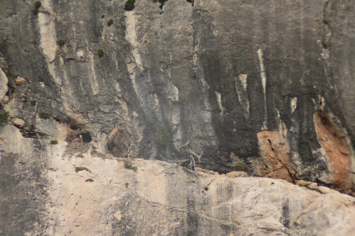 Klicke auf die Grafik für eine vergrößerte Ansicht

Name: DSC_1419.jpg
Ansichten: 202
Größe: 223,5 KB
ID: 3353389