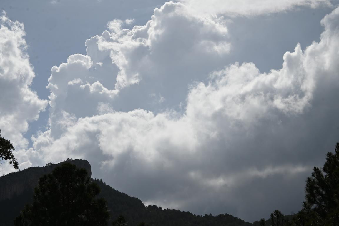 Klicke auf die Grafik für eine vergrößerte Ansicht

Name: DSC_1371.jpg
Ansichten: 202
Größe: 92,4 KB
ID: 3353390