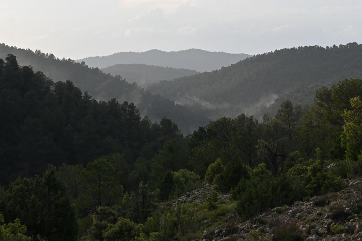 Klicke auf die Grafik für eine vergrößerte Ansicht

Name: DSC_1389.jpg
Ansichten: 201
Größe: 119,9 KB
ID: 3353391