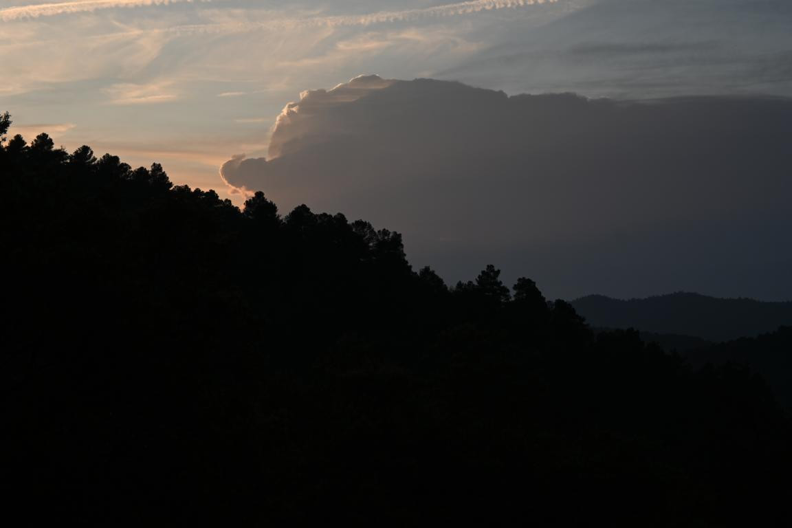 Klicke auf die Grafik für eine vergrößerte Ansicht

Name: DSC_1403.jpg
Ansichten: 199
Größe: 50,7 KB
ID: 3353392