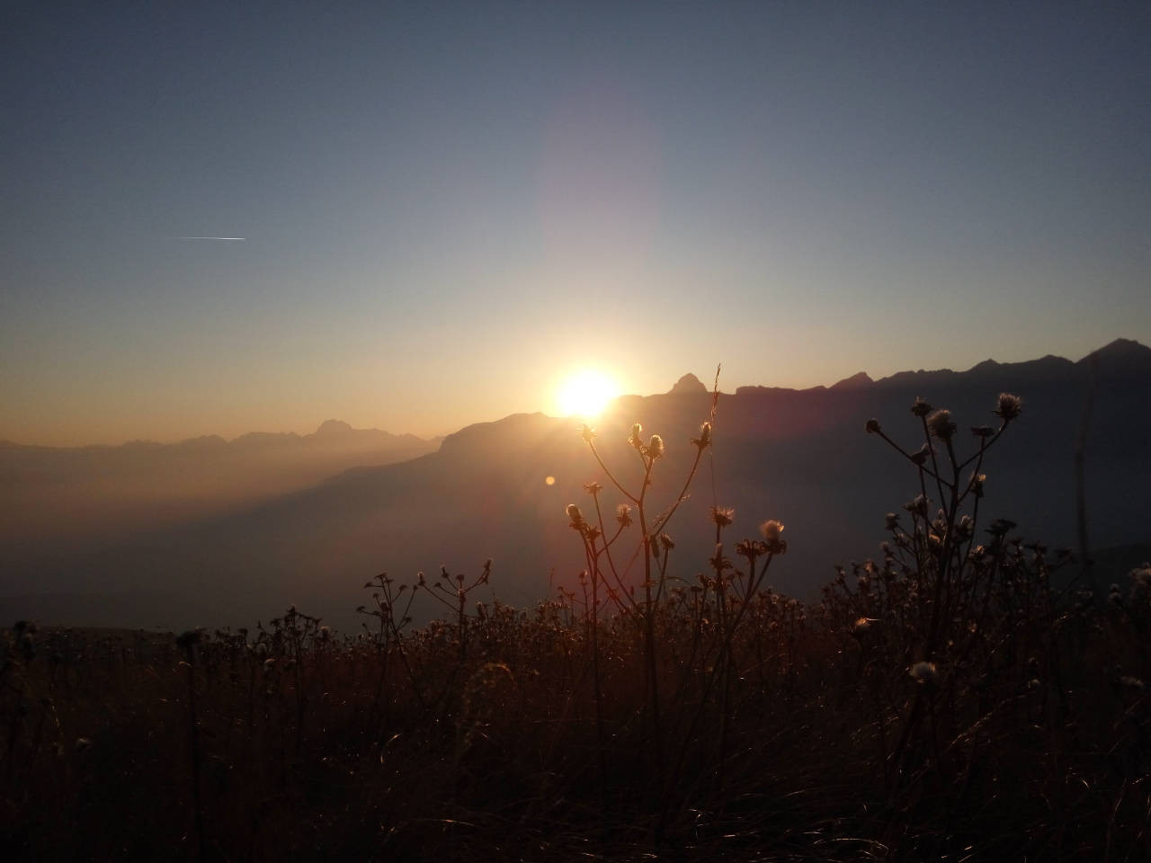 Klicke auf die Grafik für eine vergrößerte Ansicht

Name: IMG_20171030_170029.jpg
Ansichten: 79
Größe: 99,3 KB
ID: 3353435