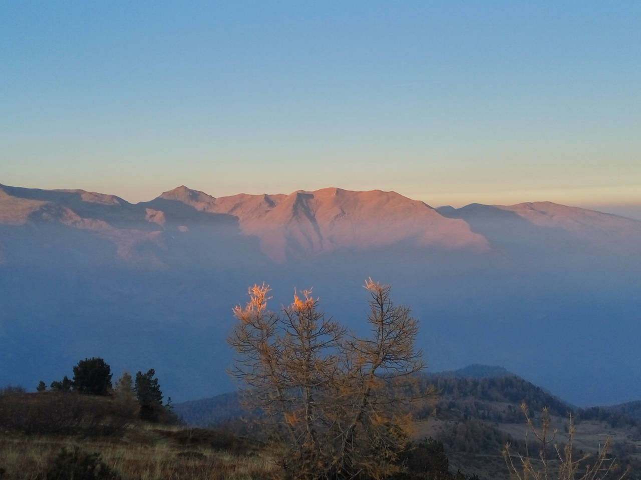 Klicke auf die Grafik für eine vergrößerte Ansicht

Name: IMG_20171030_165421_HDR.jpg
Ansichten: 76
Größe: 120,6 KB
ID: 3353436