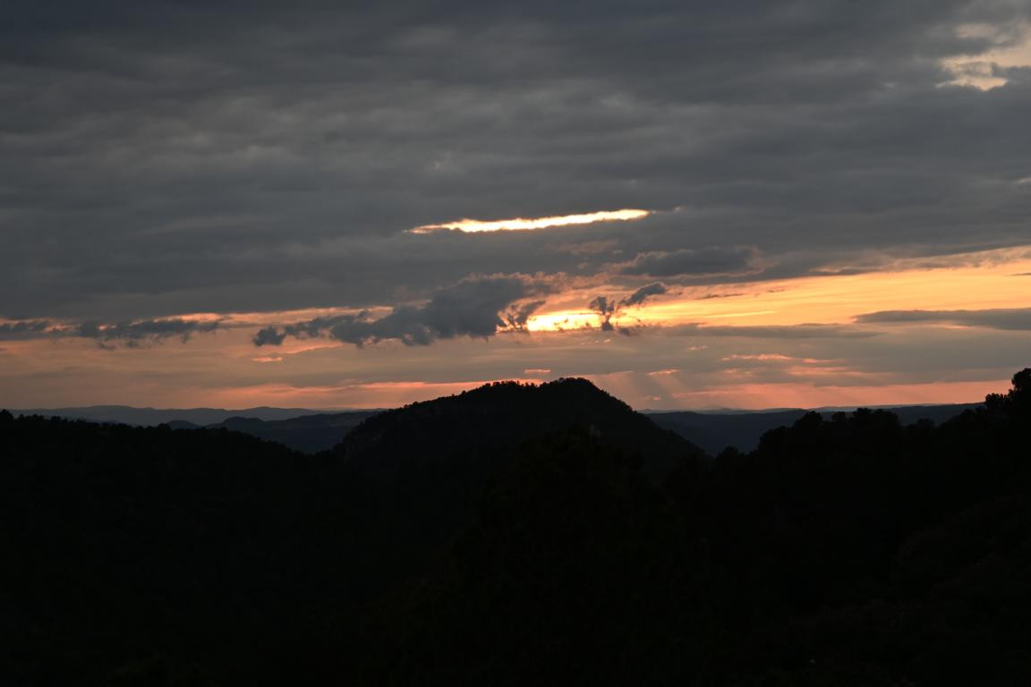 Klicke auf die Grafik für eine vergrößerte Ansicht

Name: DSC_1542.jpg
Ansichten: 137
Größe: 69,2 KB
ID: 3353613