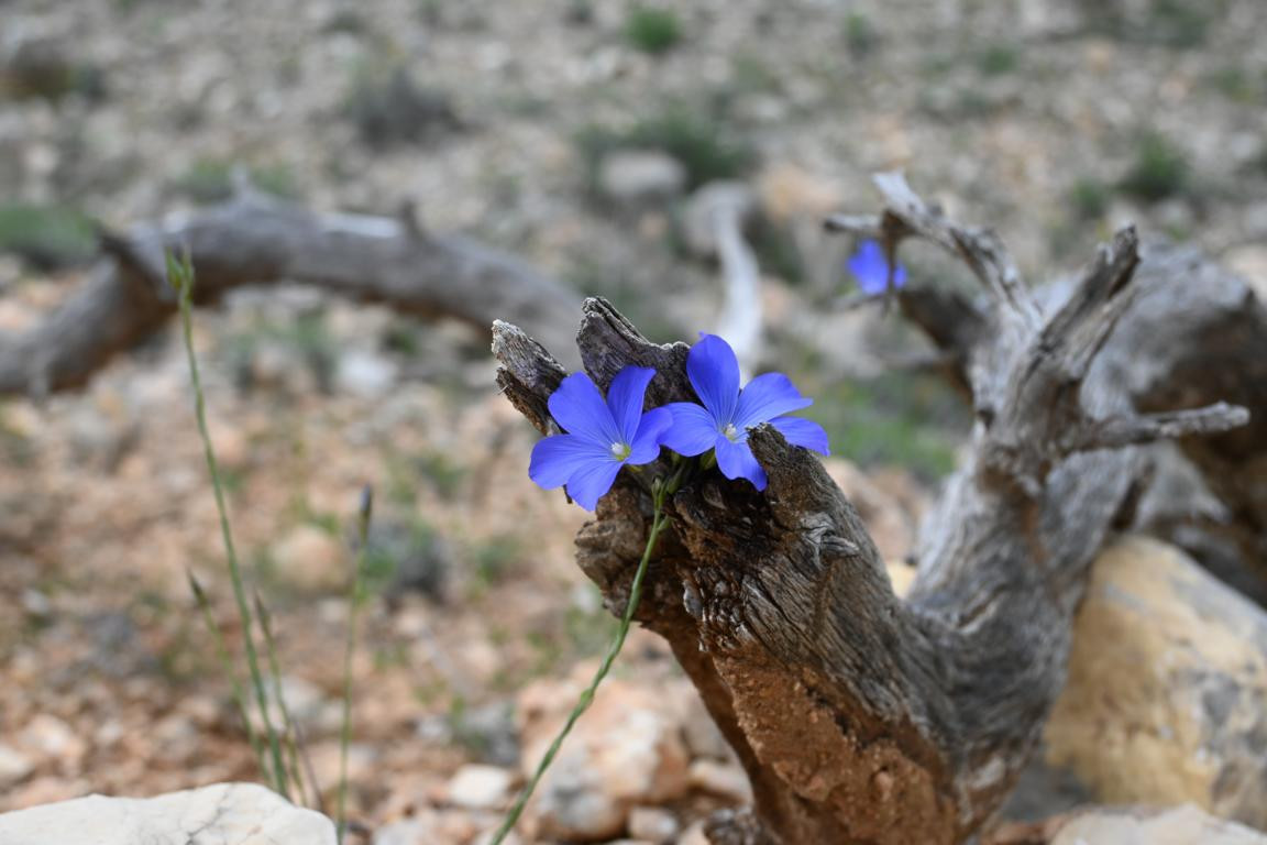 Klicke auf die Grafik für eine vergrößerte Ansicht

Name: DSC_1508.jpg
Ansichten: 135
Größe: 141,2 KB
ID: 3353614