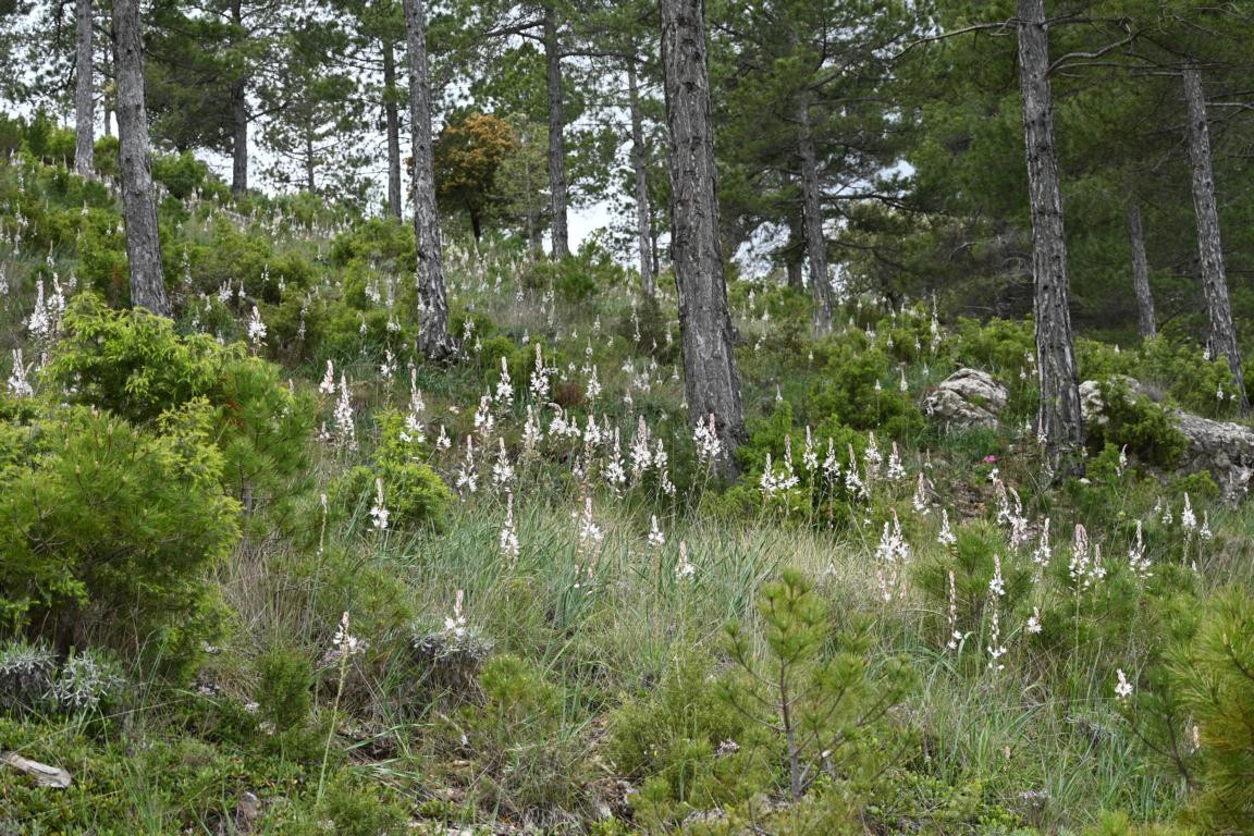 Klicke auf die Grafik für eine vergrößerte Ansicht

Name: DSC_1555.jpg
Ansichten: 138
Größe: 388,8 KB
ID: 3353616