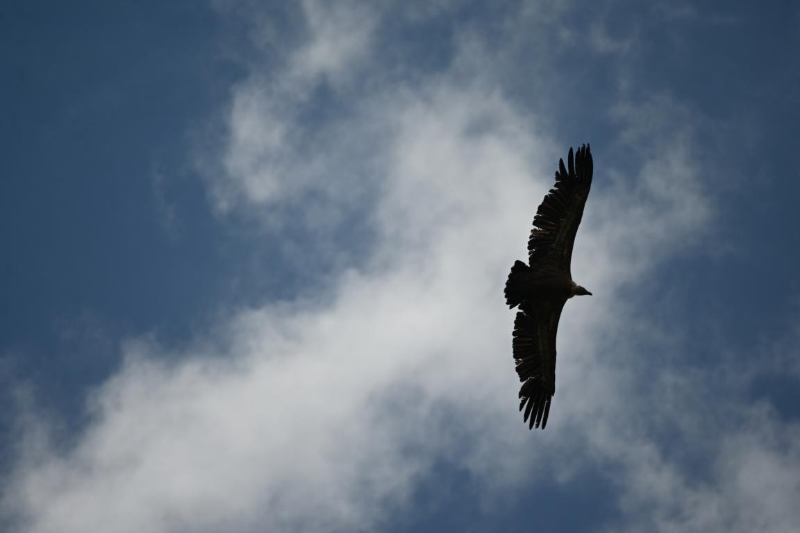 Klicke auf die Grafik für eine vergrößerte Ansicht

Name: DSC_1572.jpg
Ansichten: 135
Größe: 58,3 KB
ID: 3353619