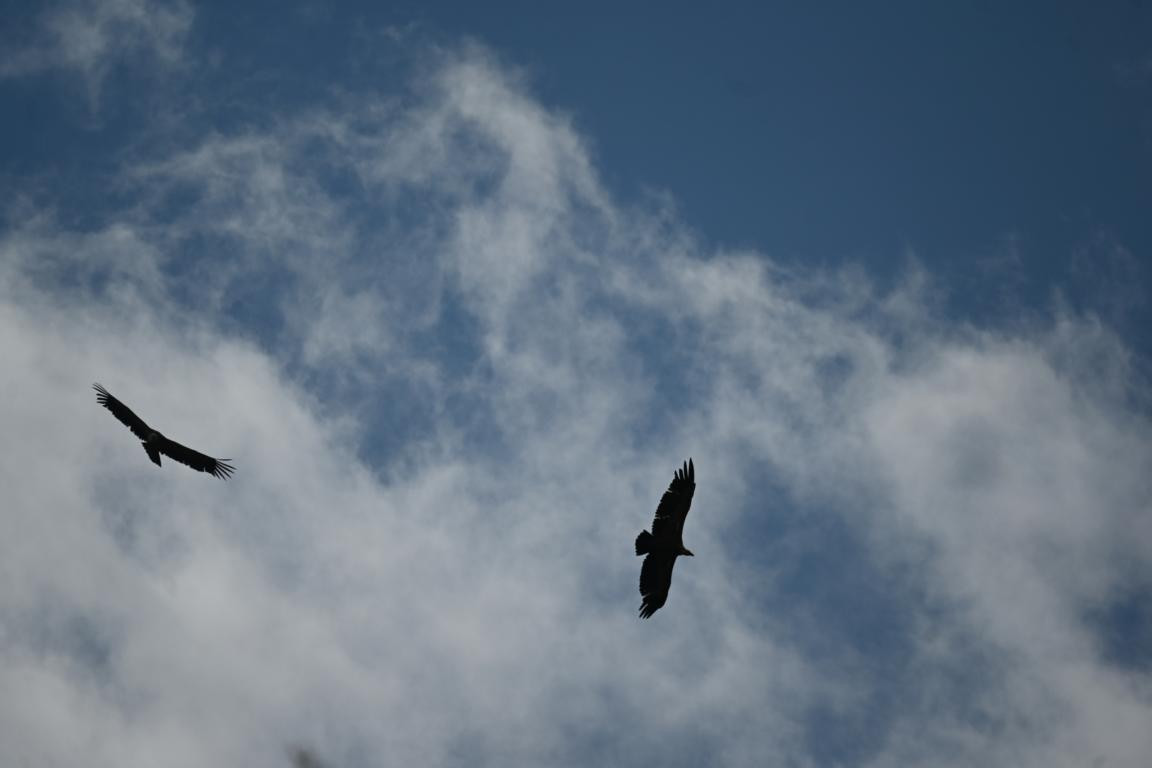 Klicke auf die Grafik für eine vergrößerte Ansicht

Name: DSC_1586.jpg
Ansichten: 135
Größe: 65,4 KB
ID: 3353620