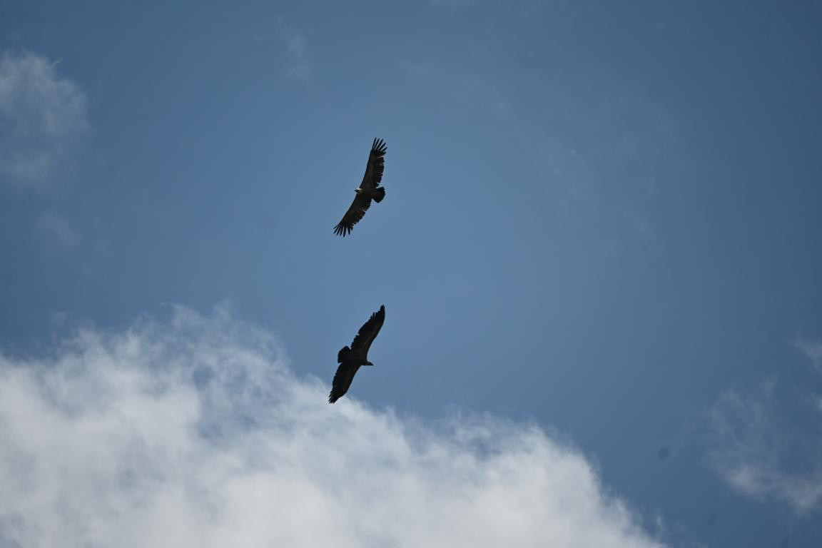 Klicke auf die Grafik für eine vergrößerte Ansicht

Name: DSC_1593.jpg
Ansichten: 135
Größe: 46,4 KB
ID: 3353621